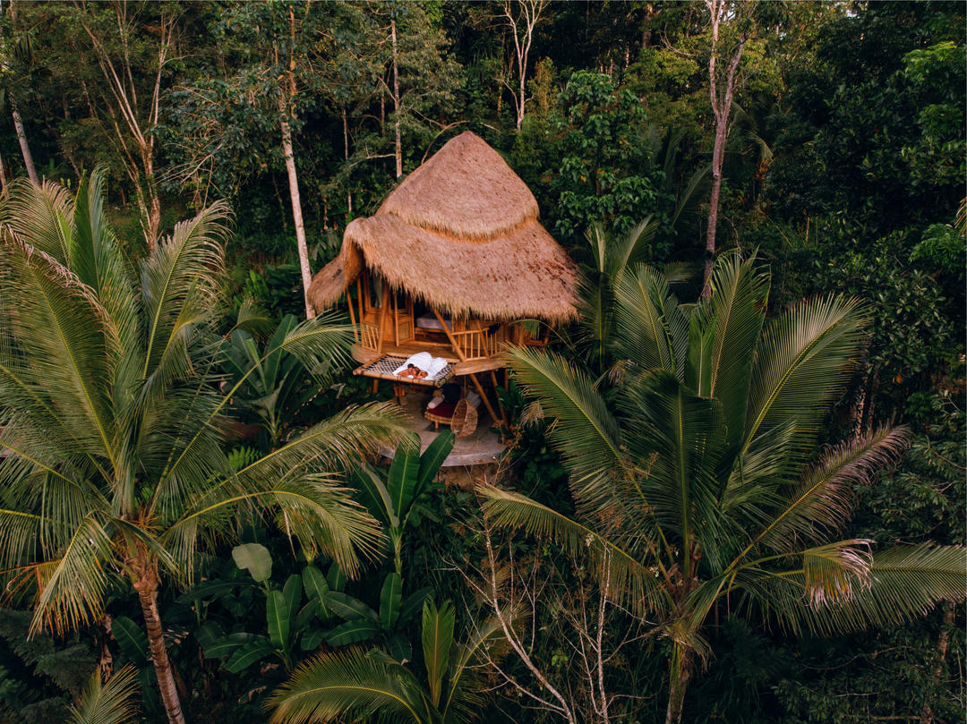 Бамбуковий будинок на дереві з видом на природу джунглів