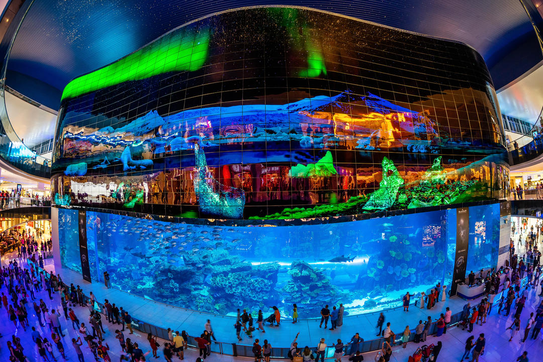 Критий акваріум в торговому центрі з величезним екраном нагорі
