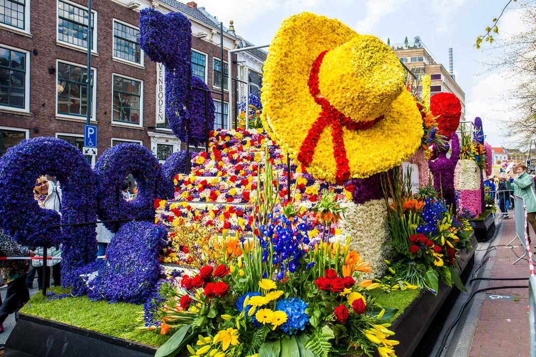 Барвисті Bloemencorso Bollenstreek Parade в Нідерландах
