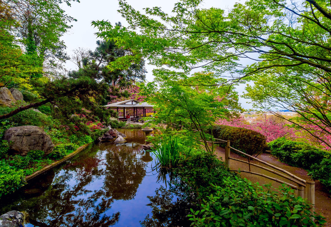 Пагорб із фонтанами та японським садом