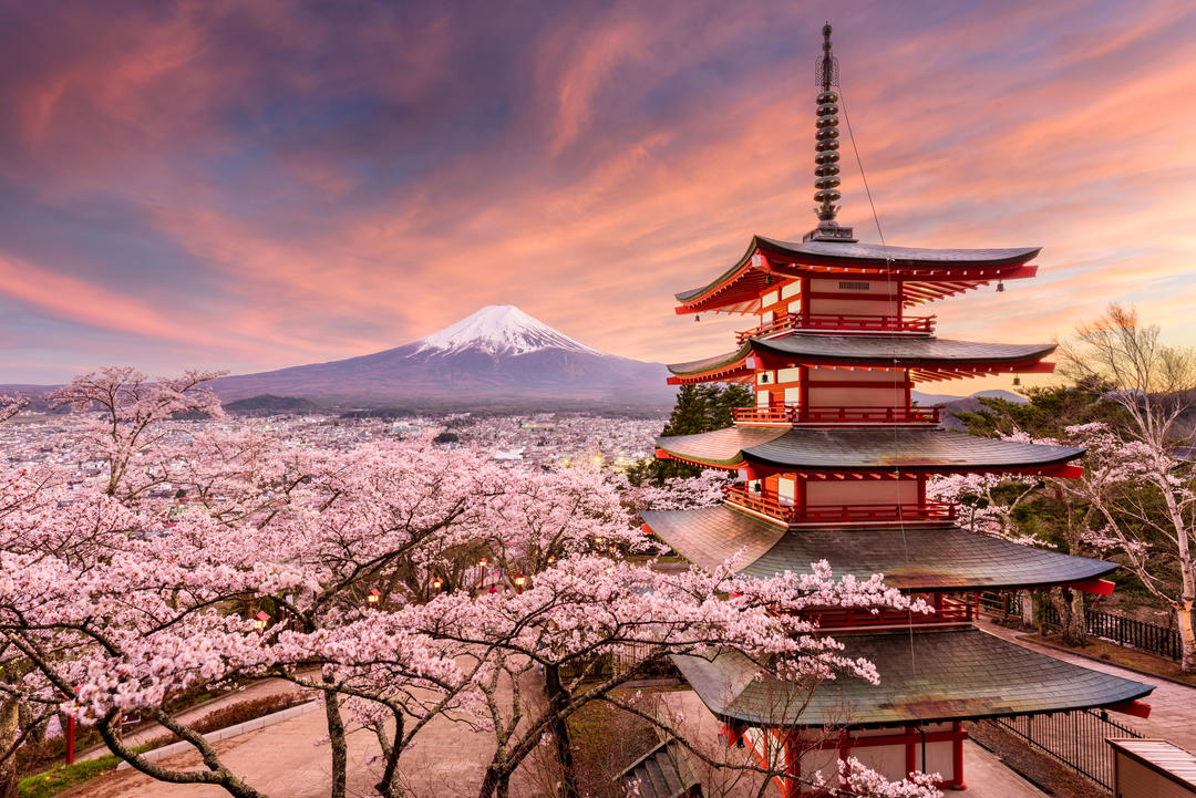Пагода Чурейто на тлі гори під час цвітіння сакури