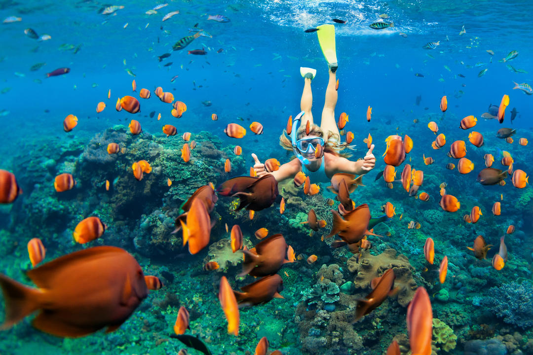 Снорклінгер з тропічними рибами в кораловому рифі