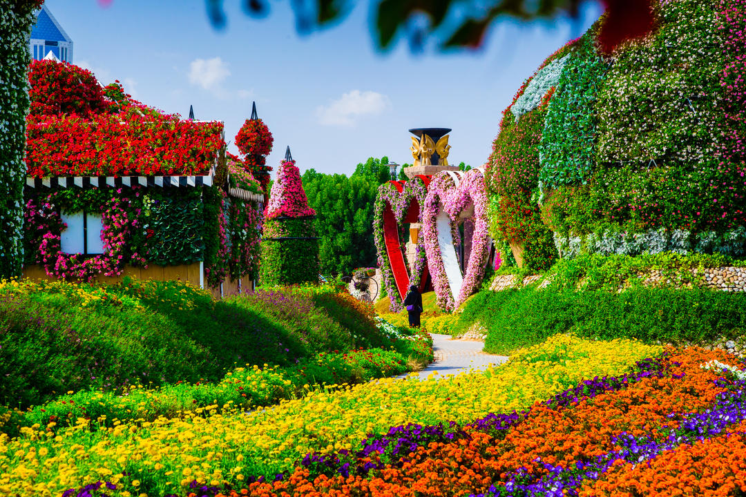 Дубайський диво-сад з більш ніж 45 квітами