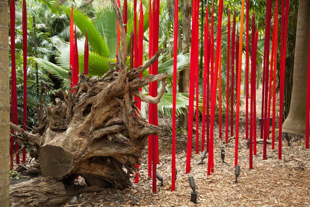 Виставка Дейла Чіхулі в тропічному саду