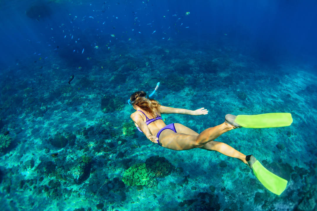 Дівчина в підводній масці з тропічних риб