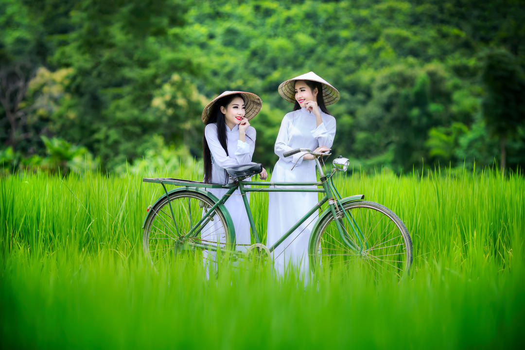 В'єтнамські дівчата в традиційному одязі серед полів