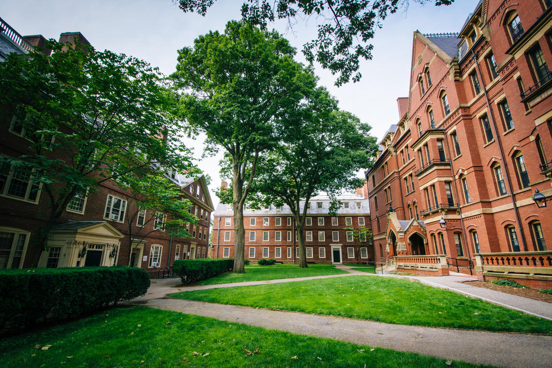 Будівлі та доріжки Гарвардського двору в Кембриджі