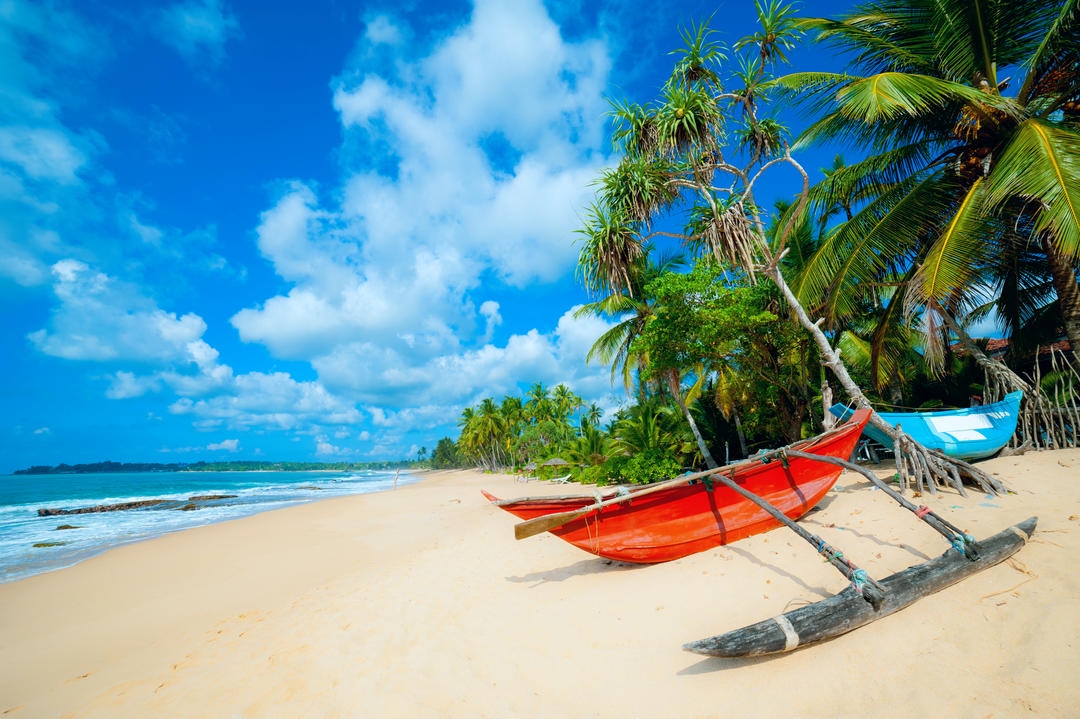 Тропічний пляж з пальмами та рибальськими човнами