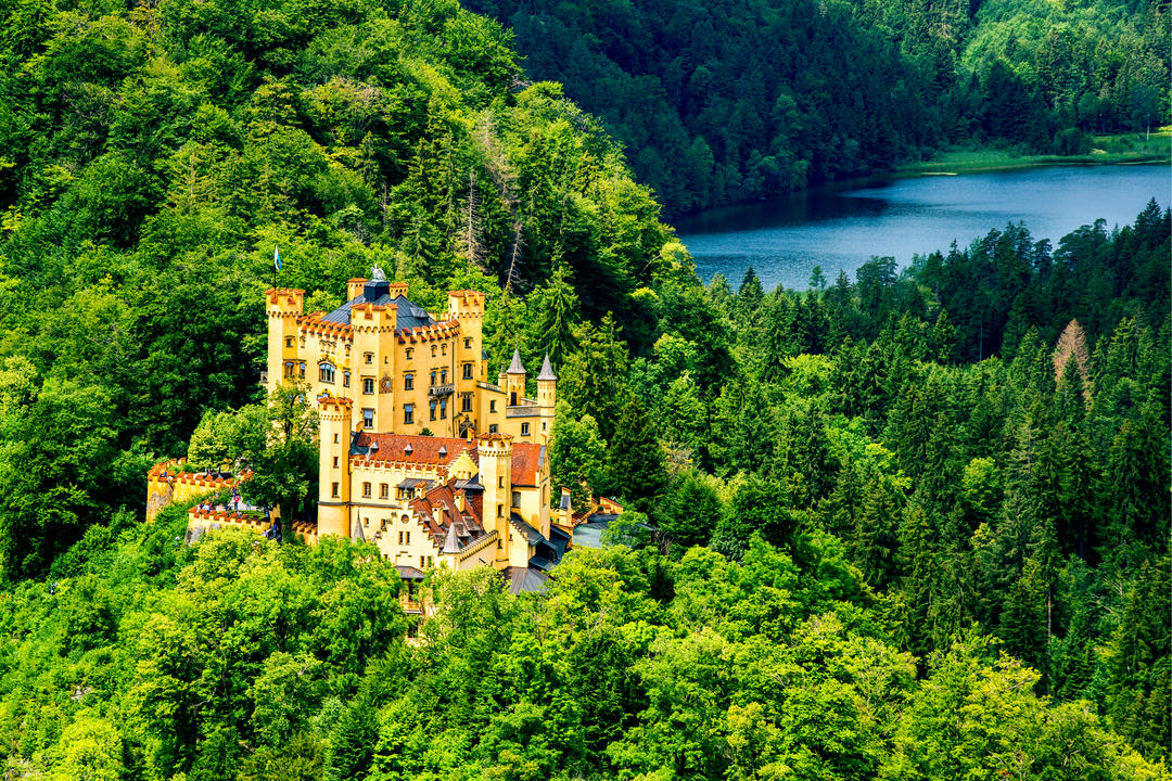 Замок серед лісу в горах