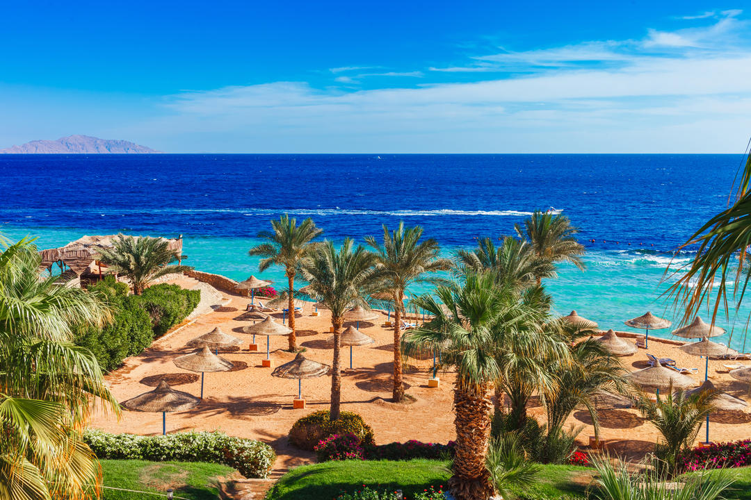 Курортний пляж з пальмами на березі Червоного моря