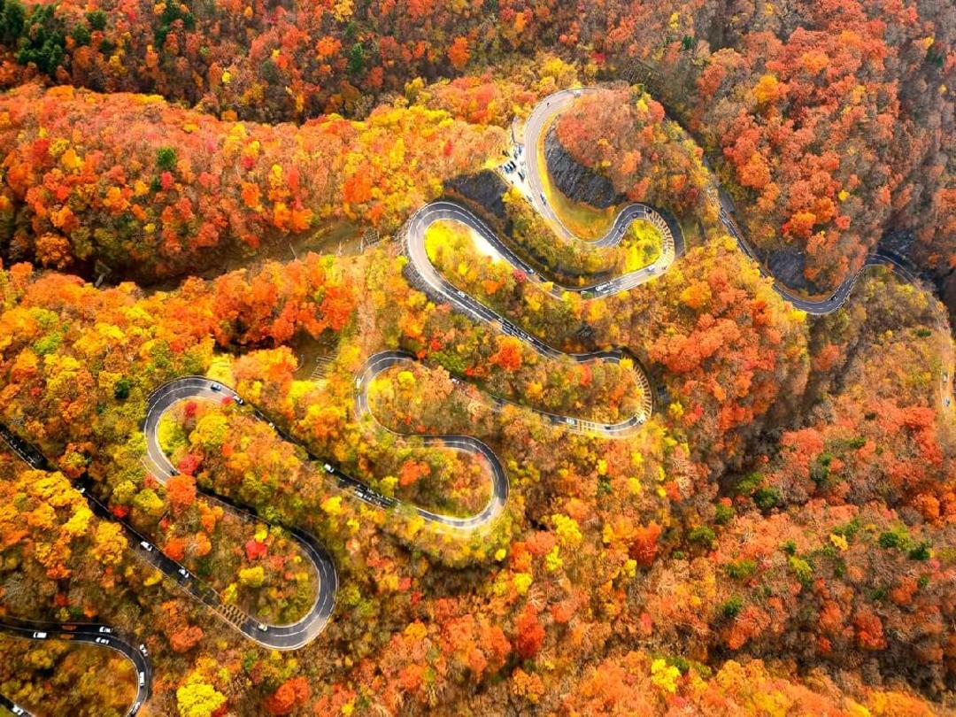 Серпантинна дорога в осінніх японських горах