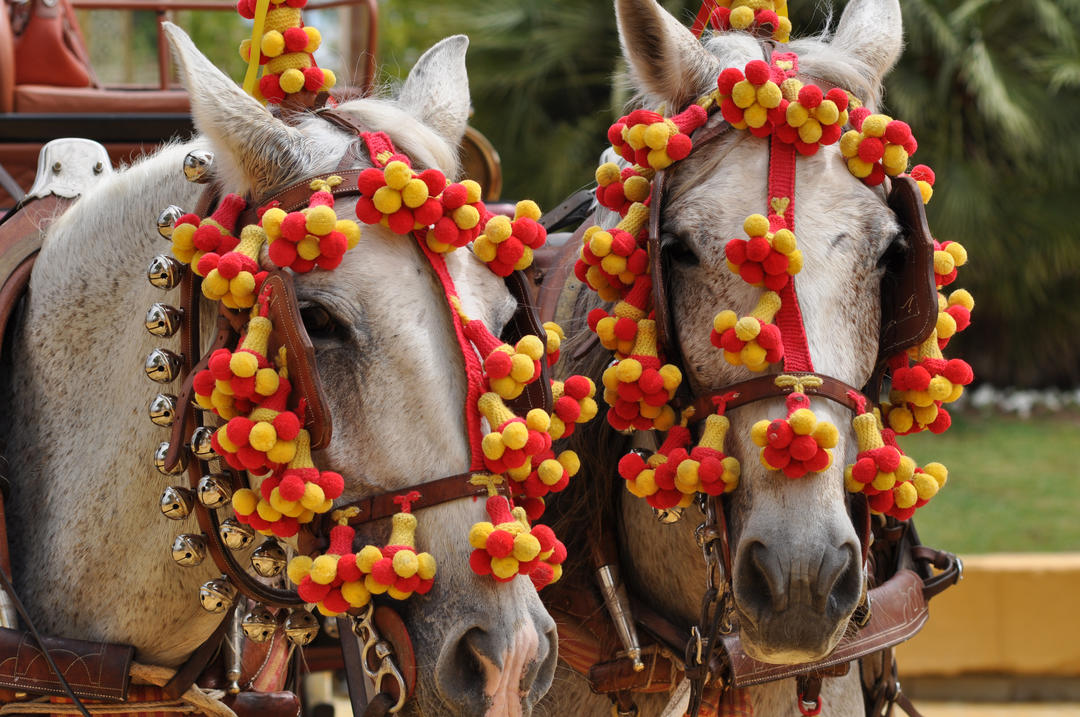 Коні прикрашені гірляндами на ярмарку