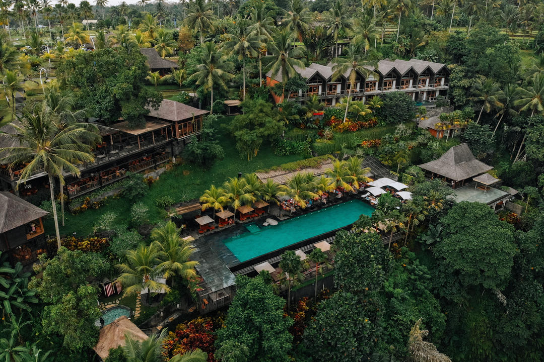 Готель з відкритим басейном у джунглях