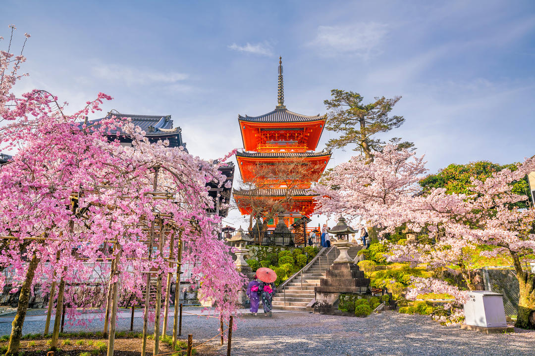 Вид на Храм Кіомідзу-дера серед квітучих сакур