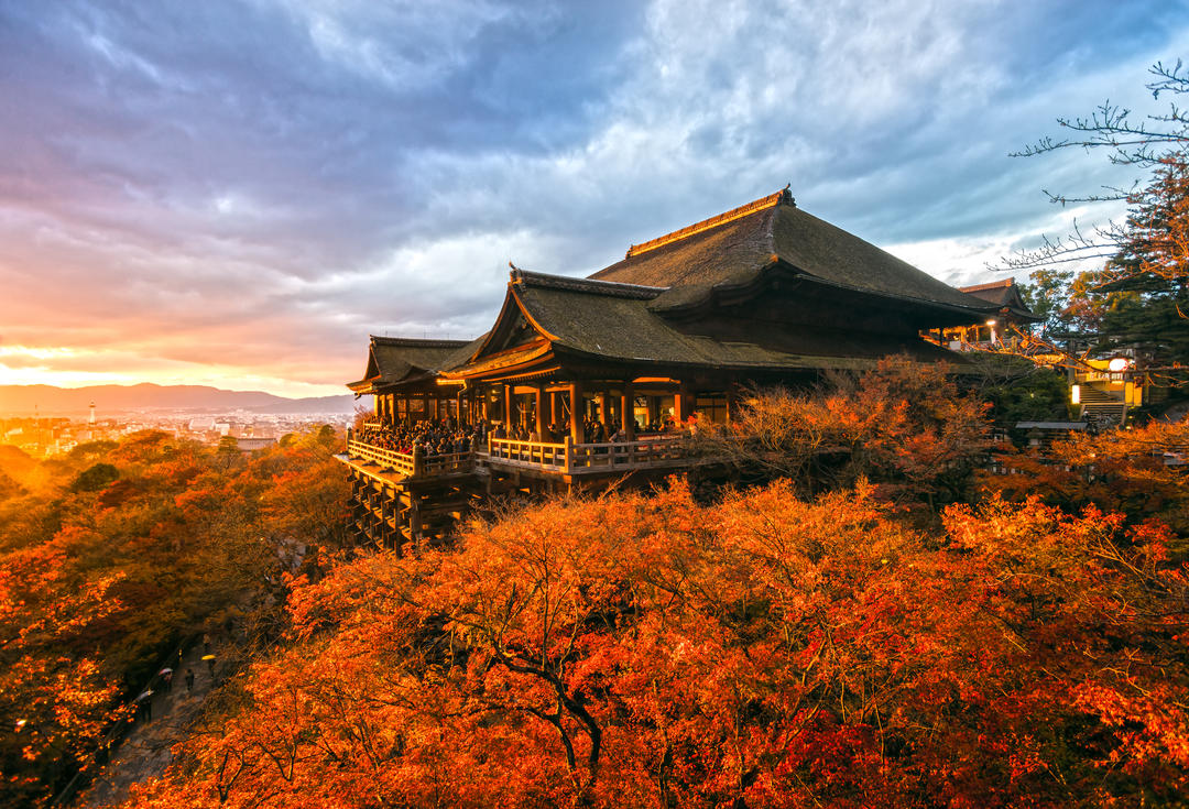 Рослини з помаранчевим листям у Храмі Кіомідзу-дера