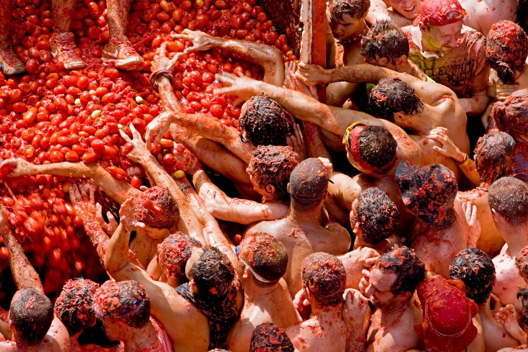 Фестиваль томатів