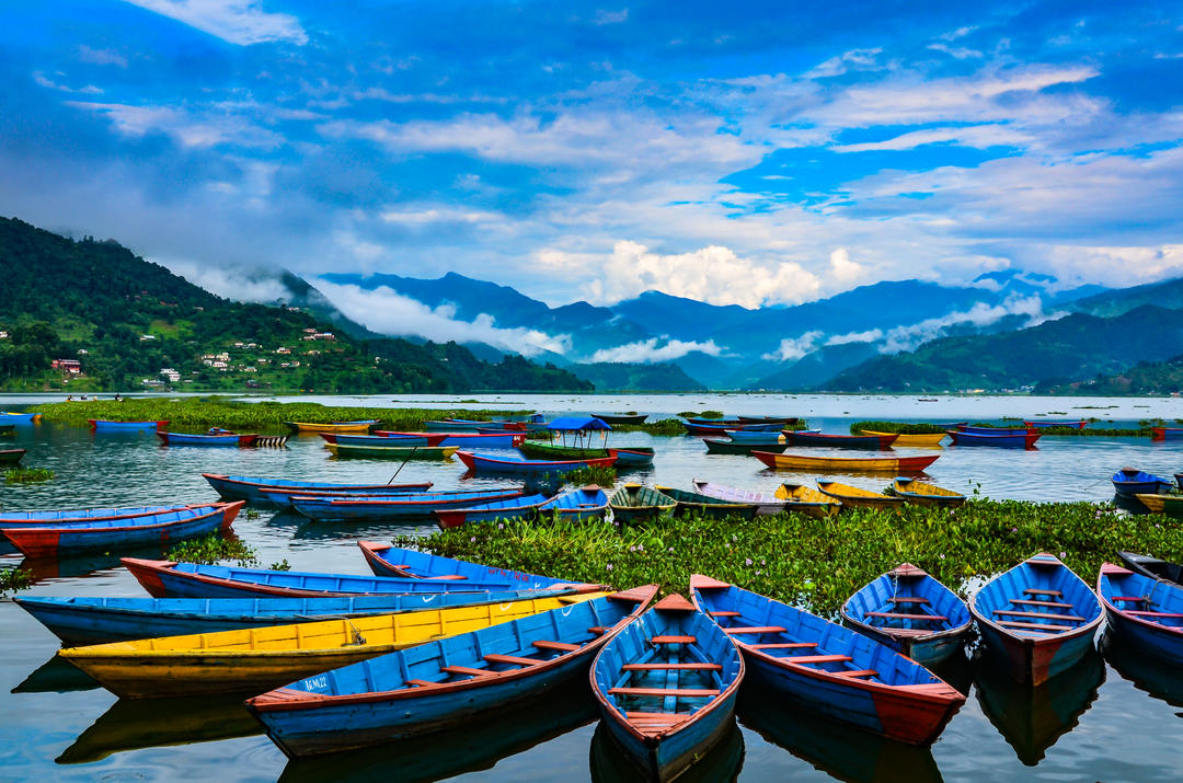 Човни на озері Фева у Покхарі в Непалі