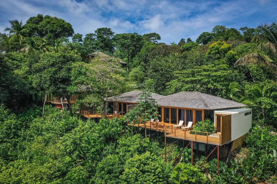 Готельні будиночки у джунглях