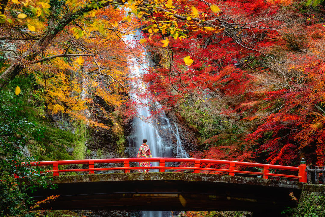 Японка в традиційному кімоно на червоному мосту в парку.