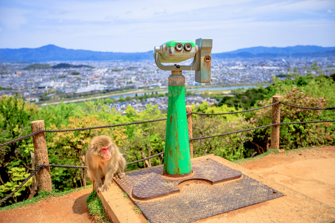 Оглядовий майданчик у парку мавп Іватаяма