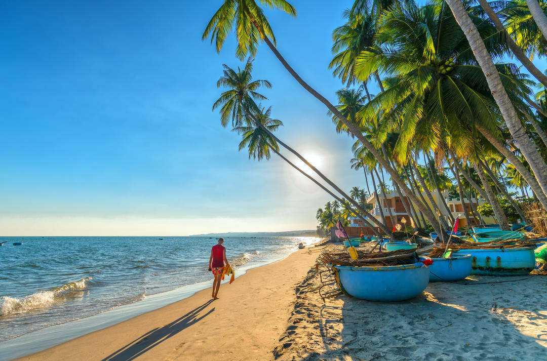 Тропічний пляж з кокосових пальм