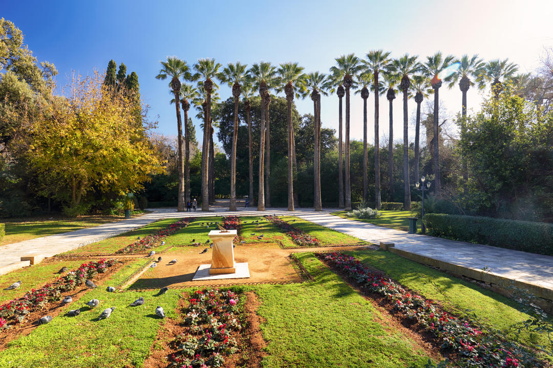 Національний садок з пальмами в центрі Афін