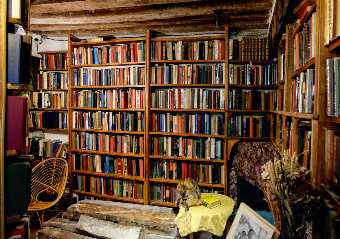 Ряди старих книг на книжковій полиці та кіт