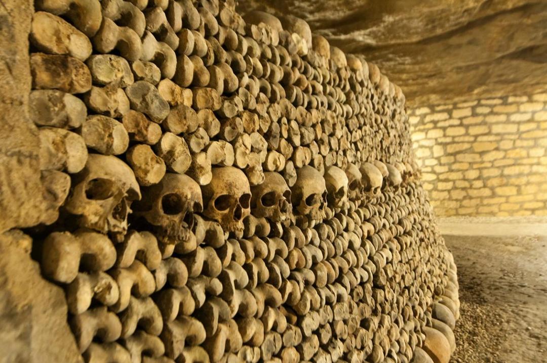 Людські кістки та черепи акуратно складені в катакомбах
