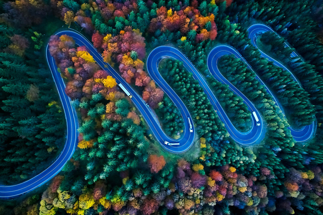 Гірський серпантин через осінній ліс у Трансільванії.