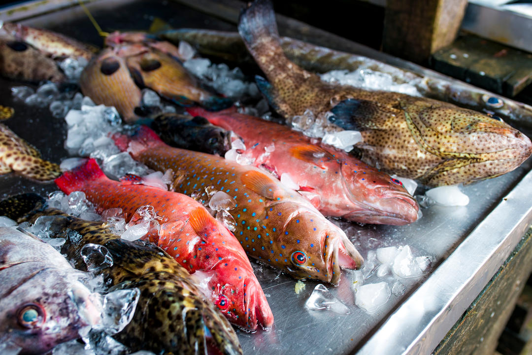 Барвисті риби на ринку морепродуктів