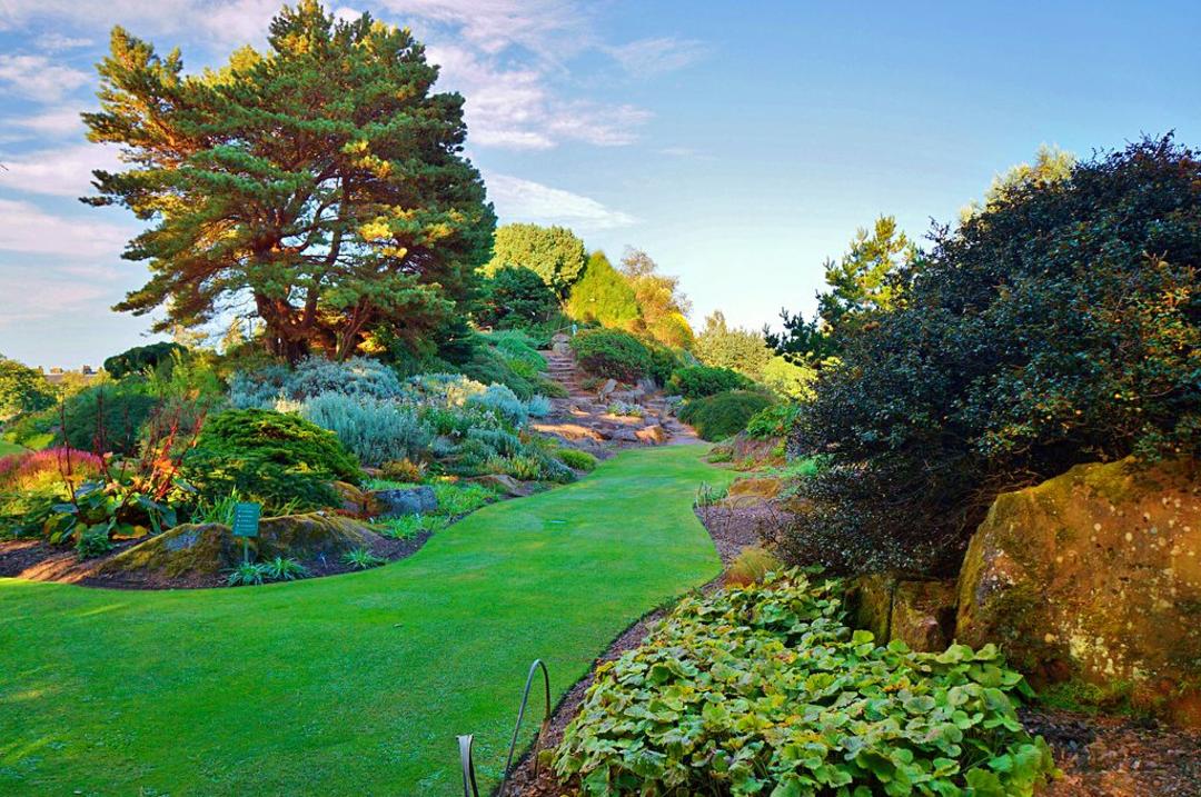 Королівський ботанічний сад у Единбурзі
