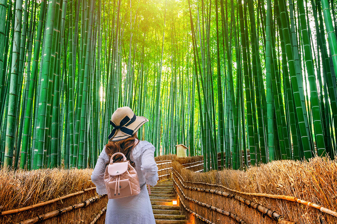 Молода дівчина піднімається сходами в Бамбуковому лісі Сагано.