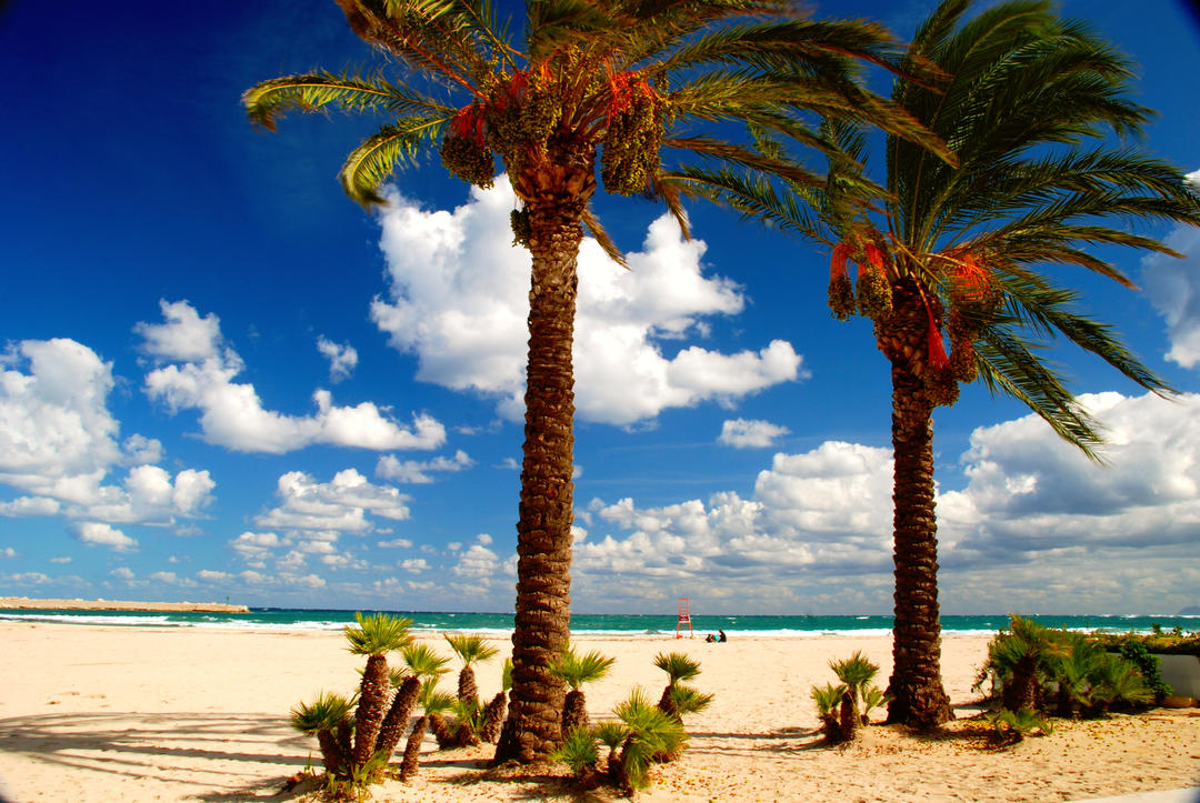Знаменитий пляж з пальмами на Сицилії