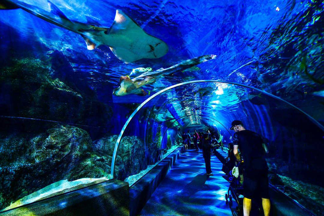 Скляний тунель акваріума