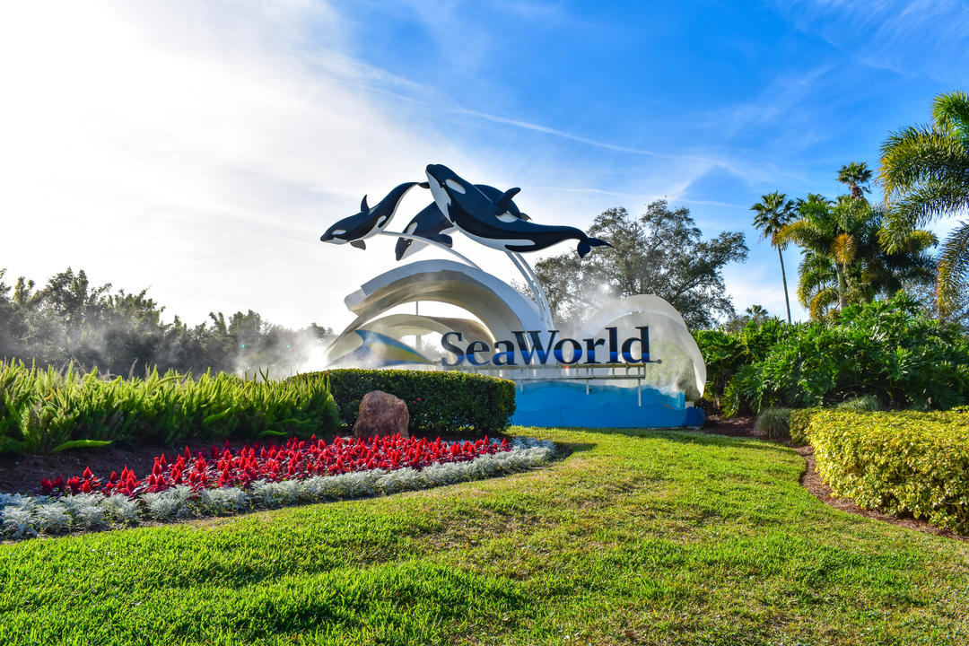 Знак SeaWorld з дельфінами, що ширяють