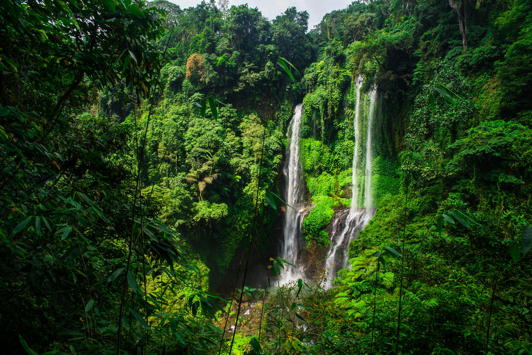 Водоспад в оточенні тропічного лісу