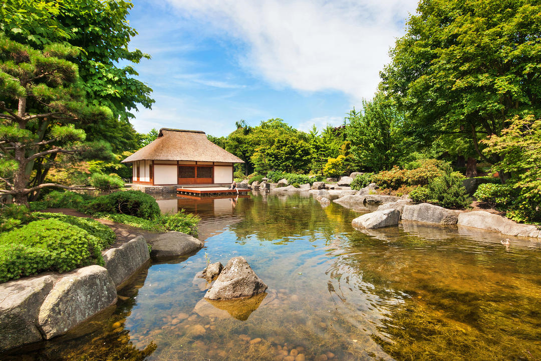 Традиційний японський сад з чайним будиночком та ставком