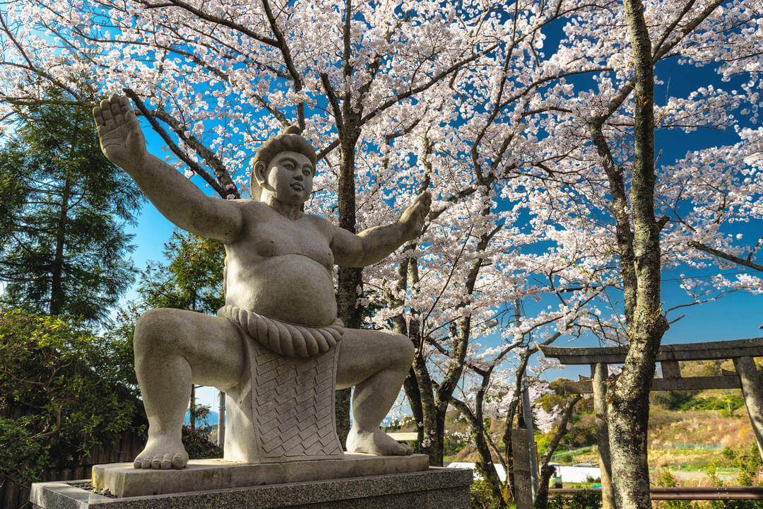 Історична статуя японського храму сумо