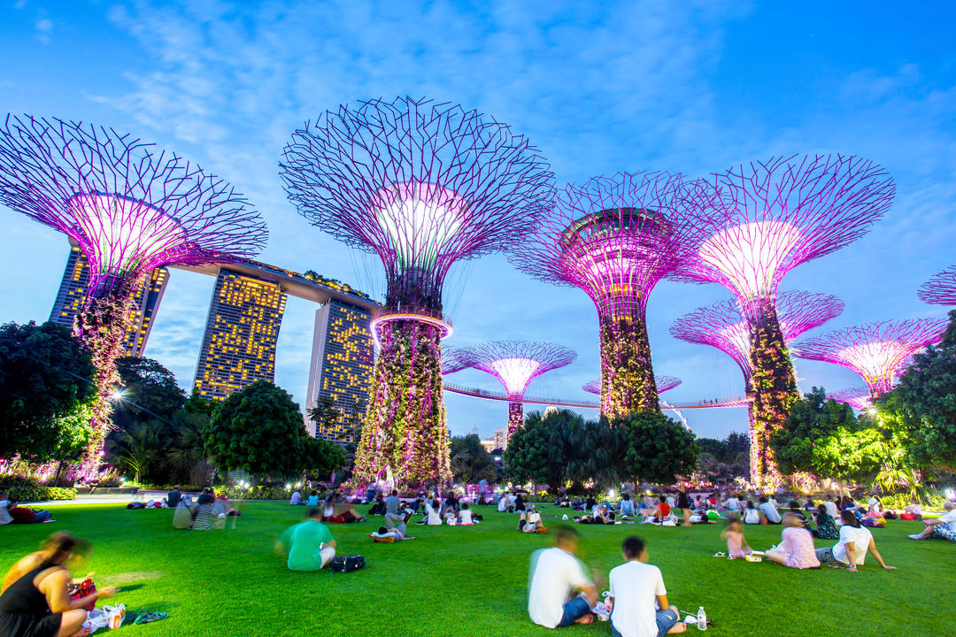 У Сінгапурі варто побачити супердерево в садах біля затоки ввечері