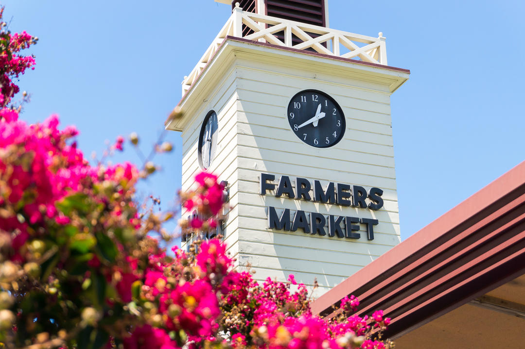 Біла вежа фермерського ринку з годинником