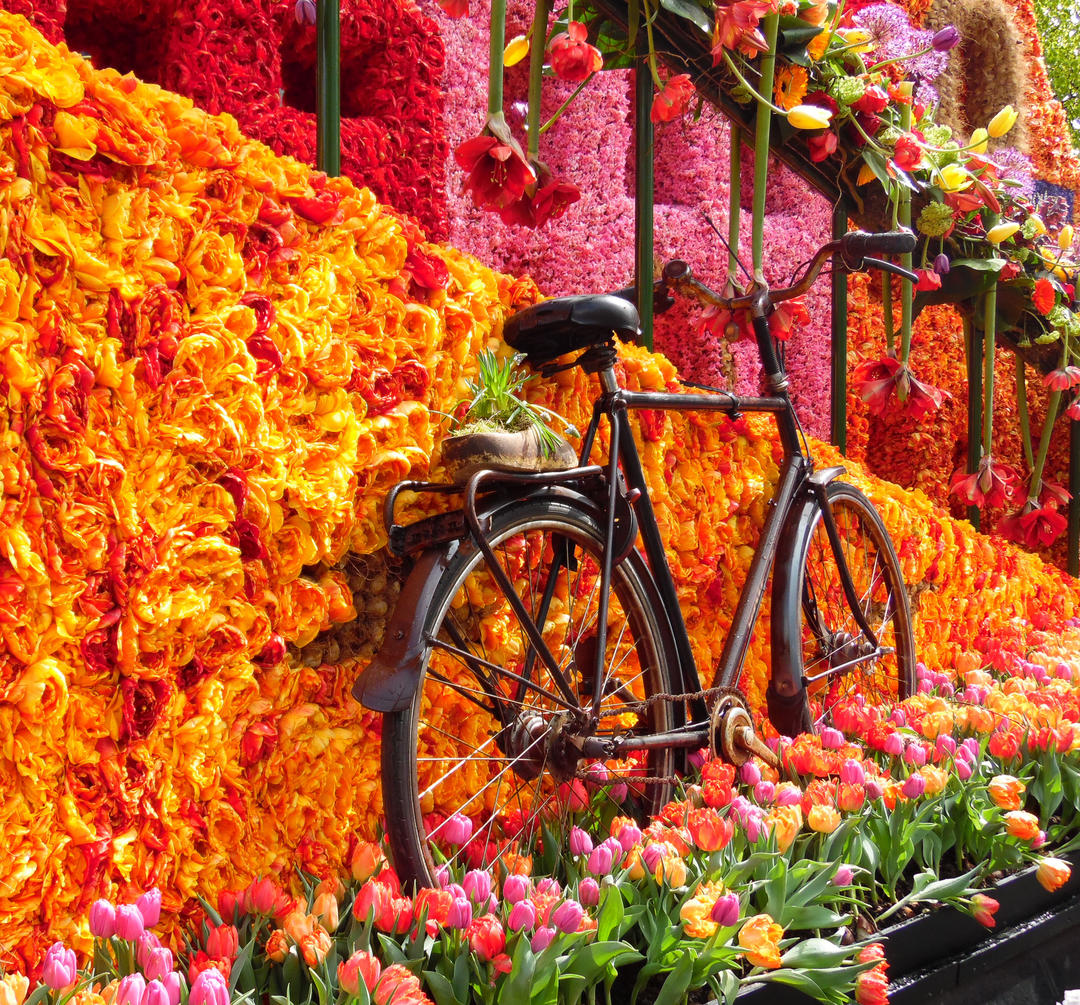 Старий велосипед серед квітів