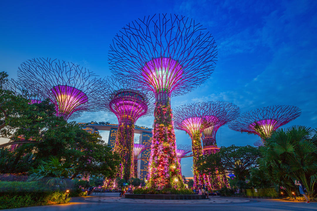 Нічний вид на гай у садах біля затоки варто обов'язково відвідати у Сінгапурі