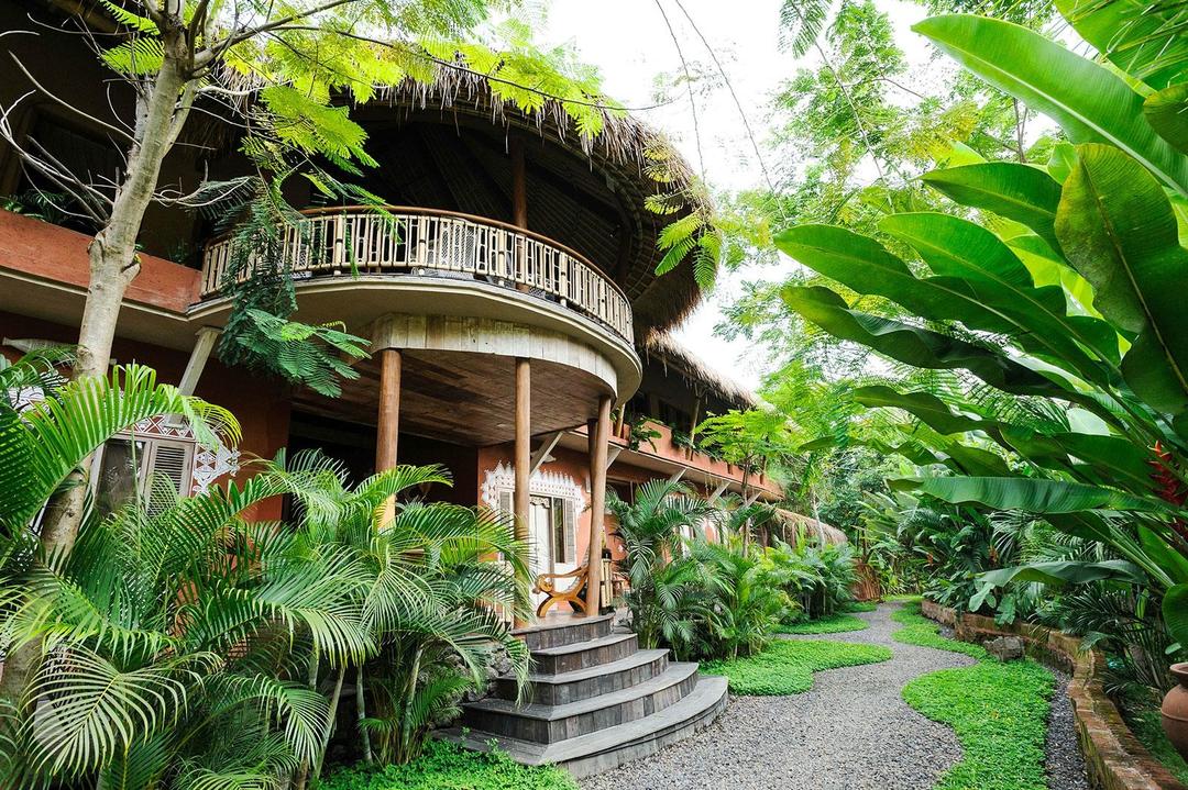 Готель у джунглях