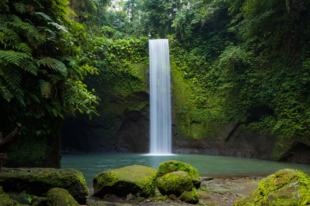Красивий тропічний ліс з водоспадом