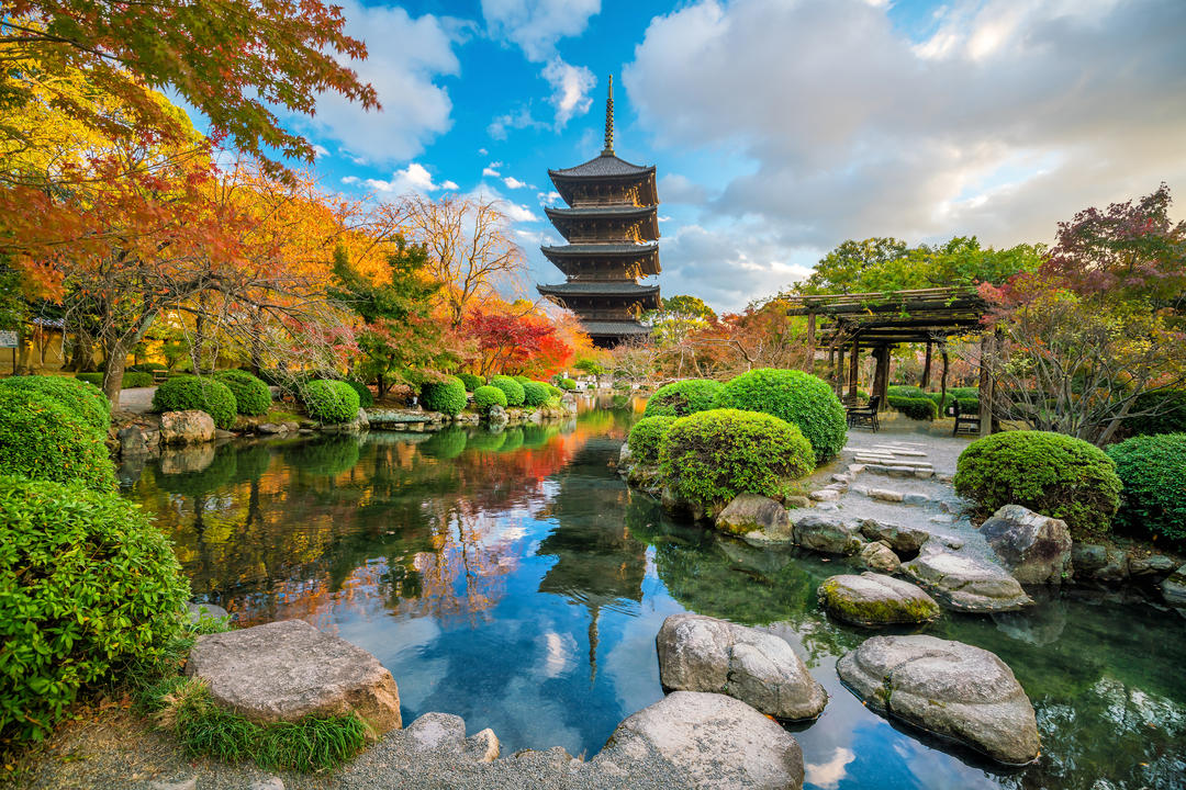 Японський сад Храму То-дзі з маленьким ставком