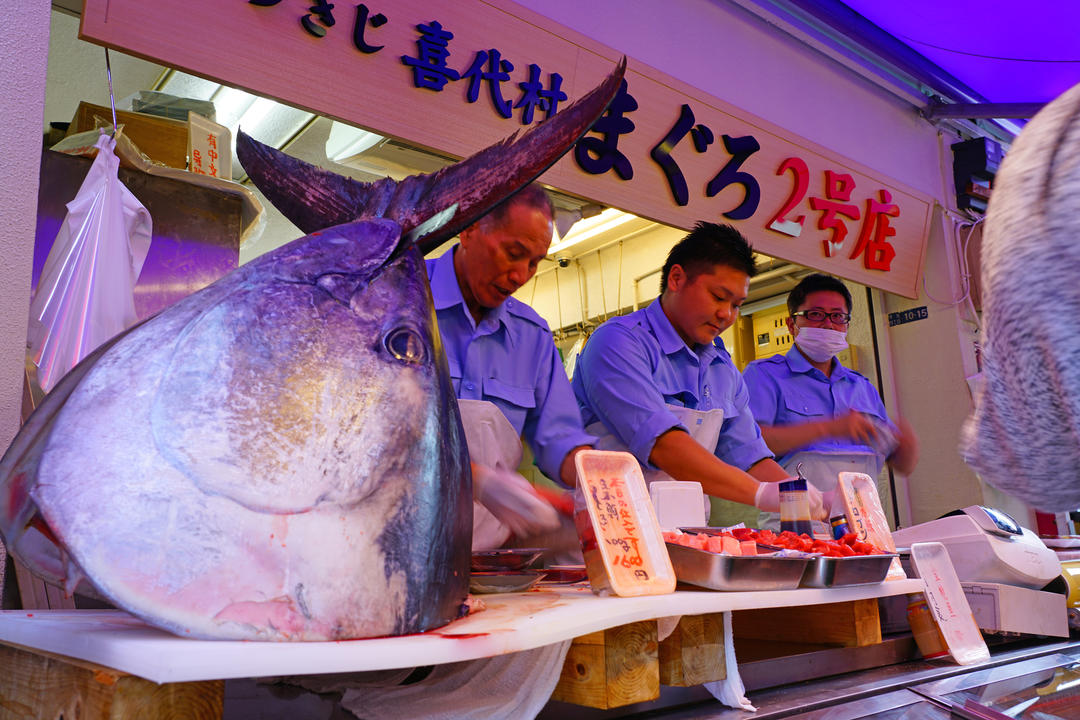Голова та хвіст блакитного тунця на рибному ринку Тойосу