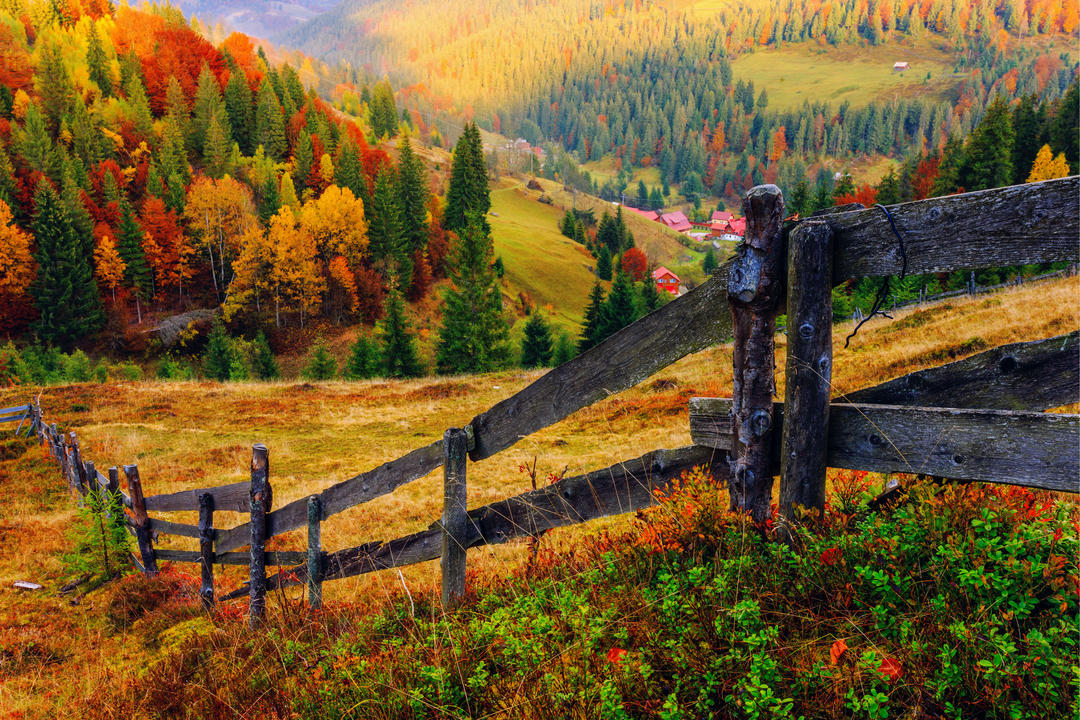 Барвисті осінній пейзаж з парканом