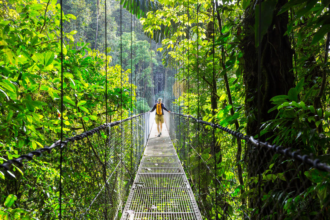Канатний міст у джунглях