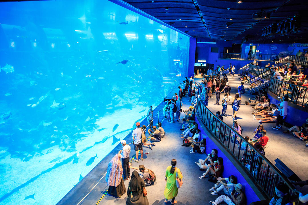 Туристи перед величезним акваріумом