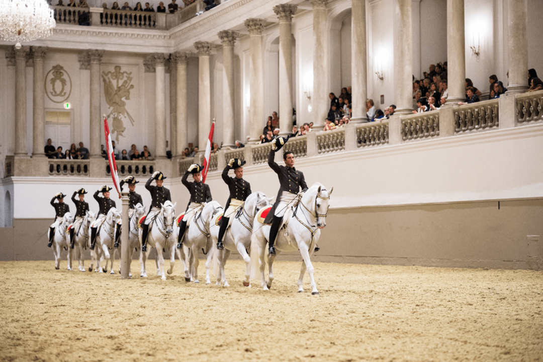 Вершники у парадній формі на білих конях
